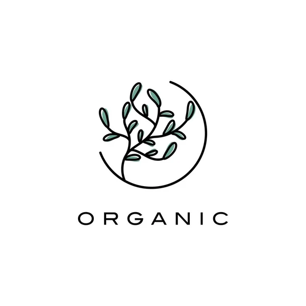 Kreatív Növények Logo Design Template Organikus Cég Szimbóluma — Stock Vector