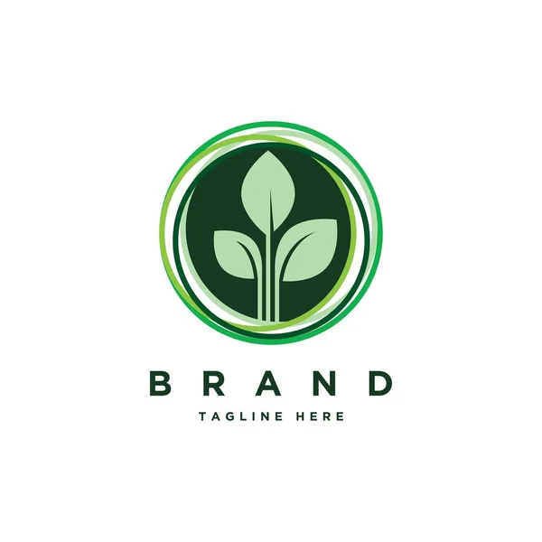 Blatt Kreis Logo Design Vorlage Organic Logo Design Inspiration — Stockvektor