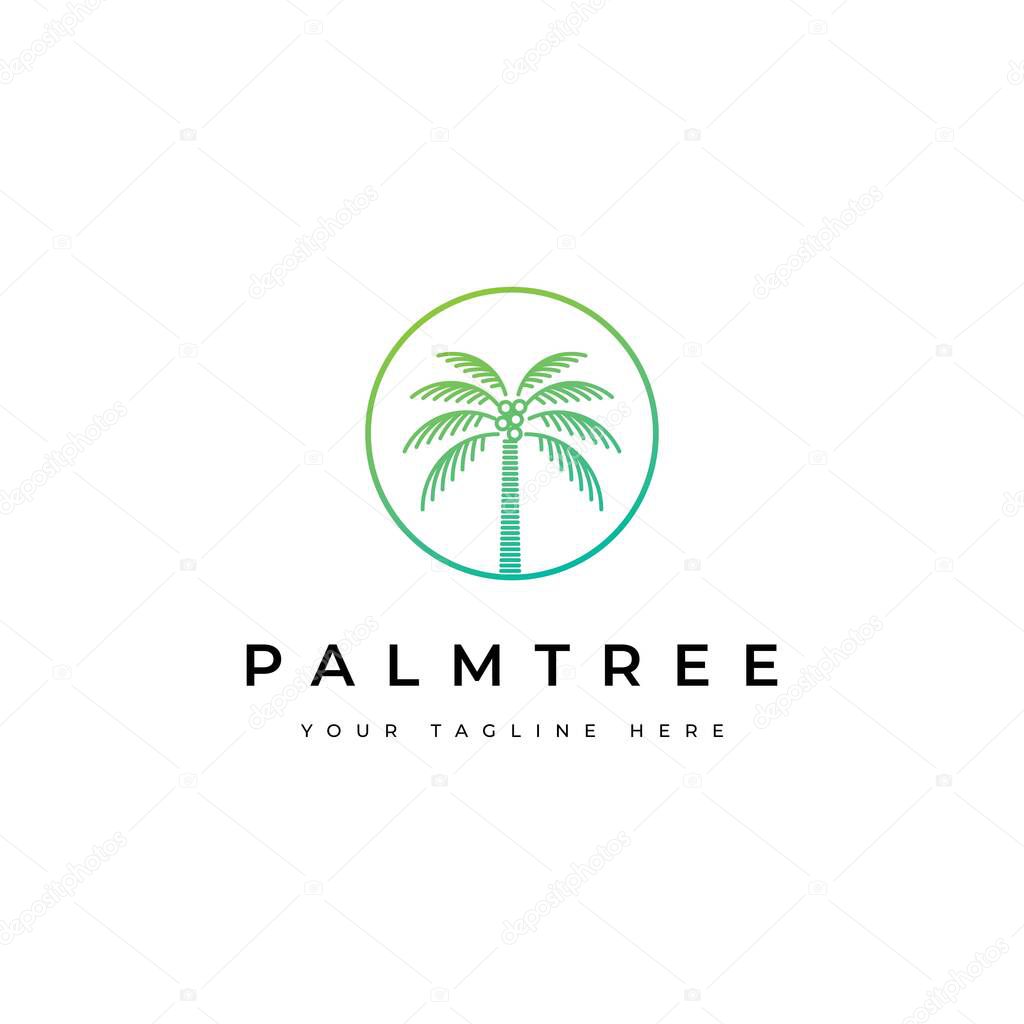 Coconut tree logo design.Palm tree icon
