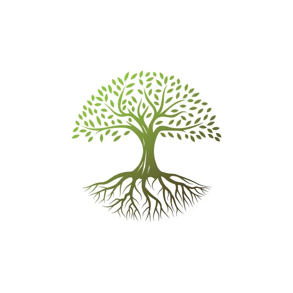 Arbre Logo Design Vectoriel Template Tree Avec Icône Racine Forme — Image vectorielle