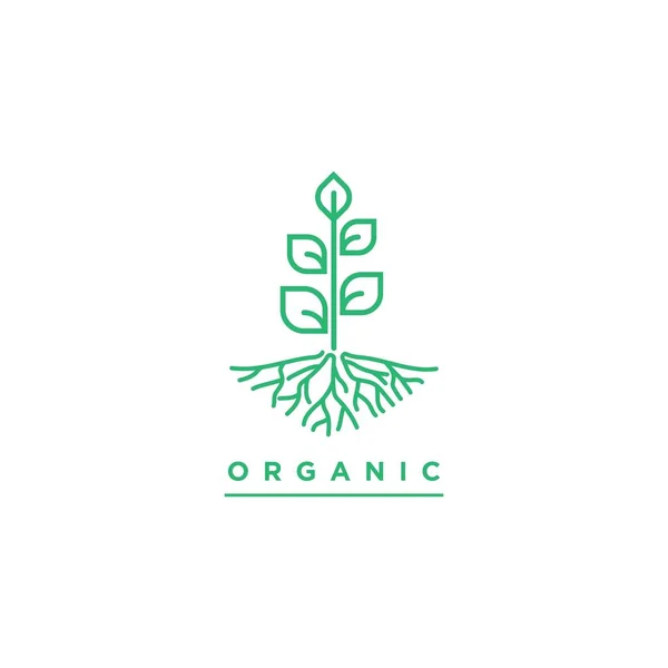 Piante Illustrazione Simbolo Vettore Template Organic Pianta Logo Design — Vettoriale Stock