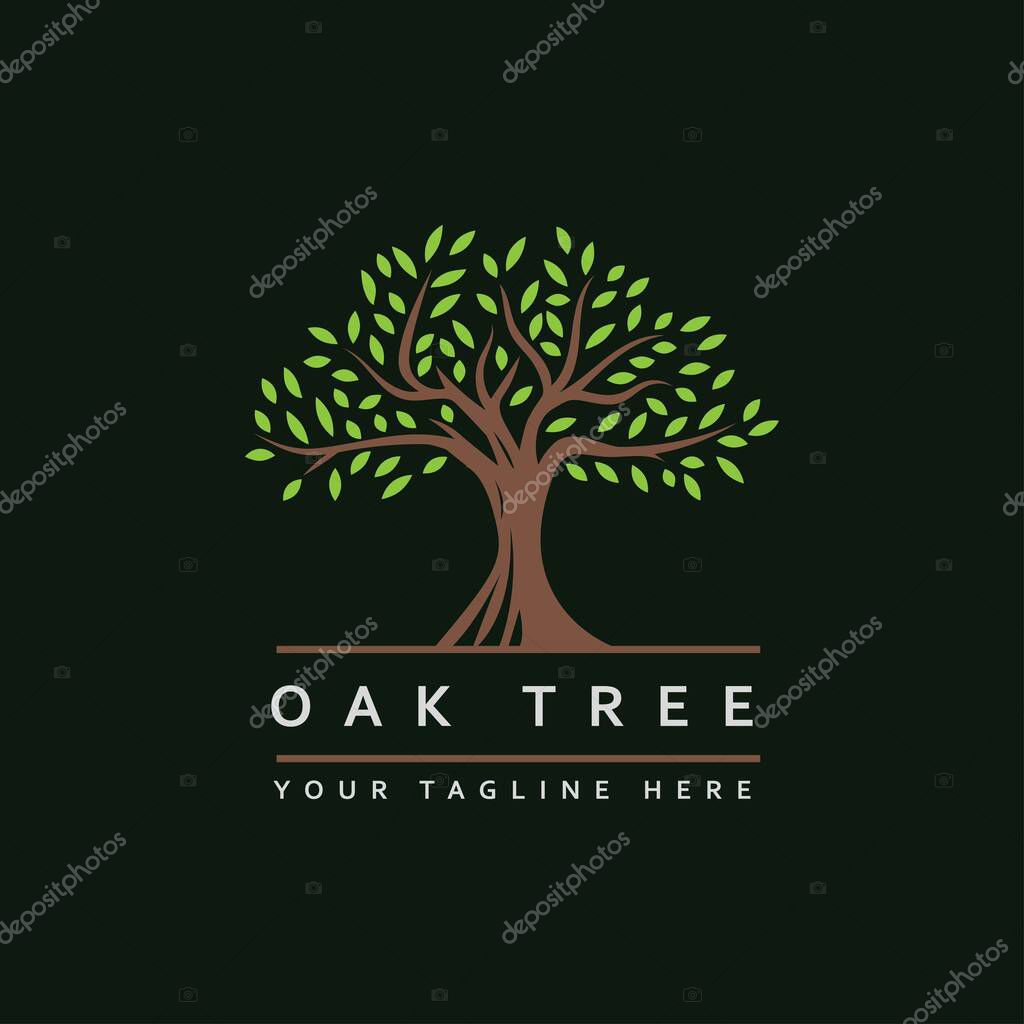 Elegant tree logo design vector template.green tree symbol