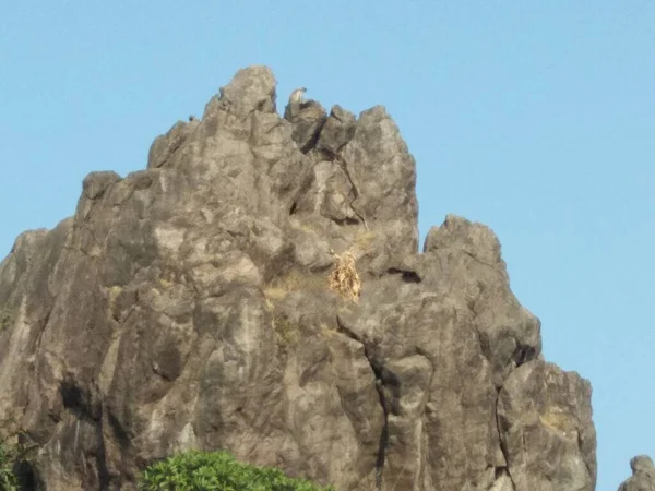 Ancien Temple Hindou Pavagadh Champaner Gujarat Inde — Photo