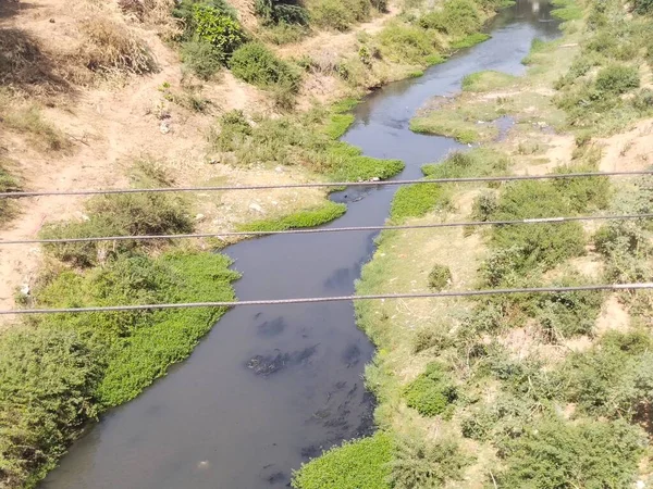 Collines Forestières Rivière — Photo