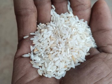 Yemek ve el Hint yemeği.