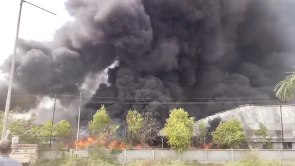 Vadodara Gujarat Maggio 2021 Incendio Dell Industria Indiana — Video Stock