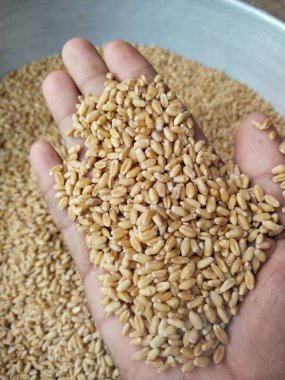 Hand and food background