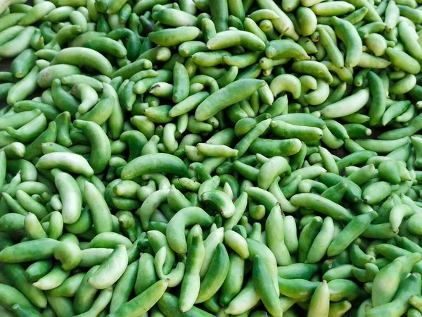 Alimentación Vegetal Fondo Blanco — Foto de Stock