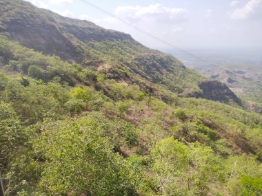 Orman ve dağ manzaralı Pavagad