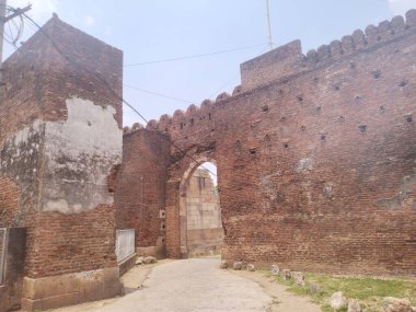 Hindistan 'dan Hindu tapınağı Nilkanth dham poicha gujarat