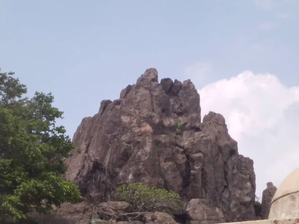 Floresta Vista Montanha Pavagadh — Fotografia de Stock