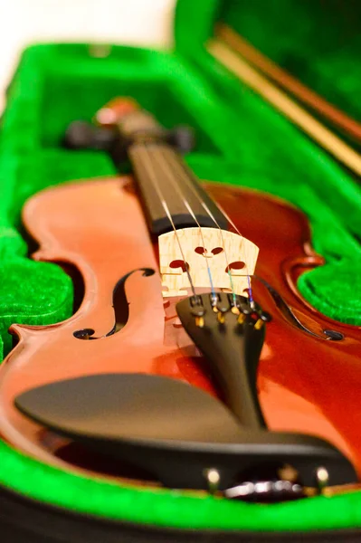 Nahaufnahme Einer Geige Sehr Weiches Def Feld Foto Verwischen — Stockfoto