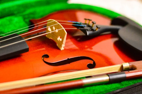 Close Tiro Violino Muito Suave Def Campo Foto Borrão — Fotografia de Stock