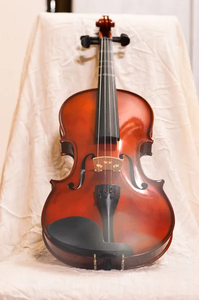 近镜头的小提琴 白色背景 模糊的照片 — 图库照片