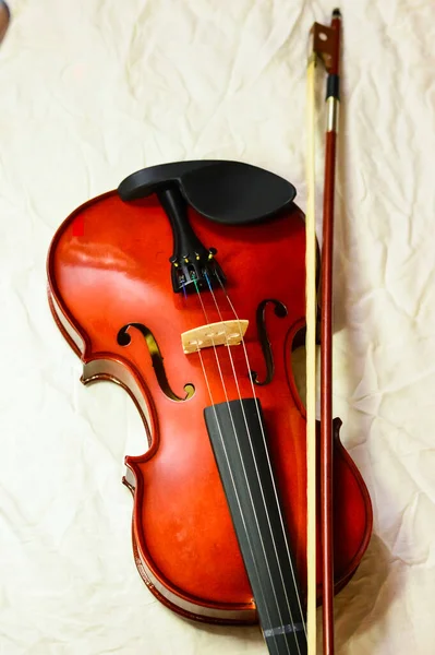 Nærbillede Violin Hvid Baggrund Slør Foto - Stock-foto