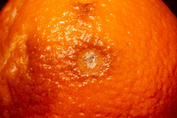 发霉的烂橙子用木料隔开了 非常接近了 — 图库照片