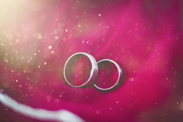 Two Platinum Engagement Wedding Rings Isolated Pink Background Symbol Marriage — Stockfoto