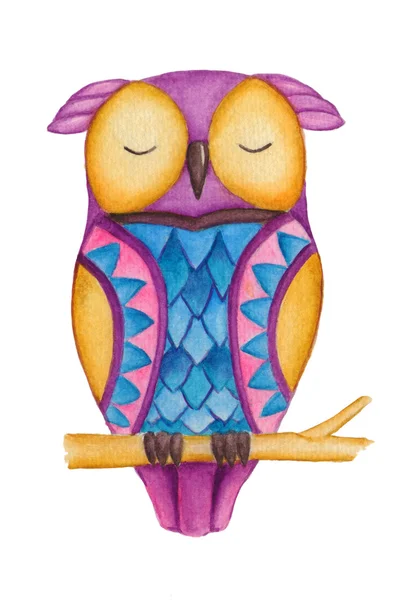 Jolie aquarelle décorative hibou d'ornement — Photo