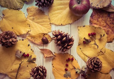Sonbahar mevsimsel kompozisyonu, sarı yapraklar, kozalaklar, elma, fındık ve kırmızı böğürtlenler beyaz ahşap arka planda..