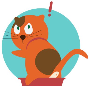 Kırmızı kedi tuvalet