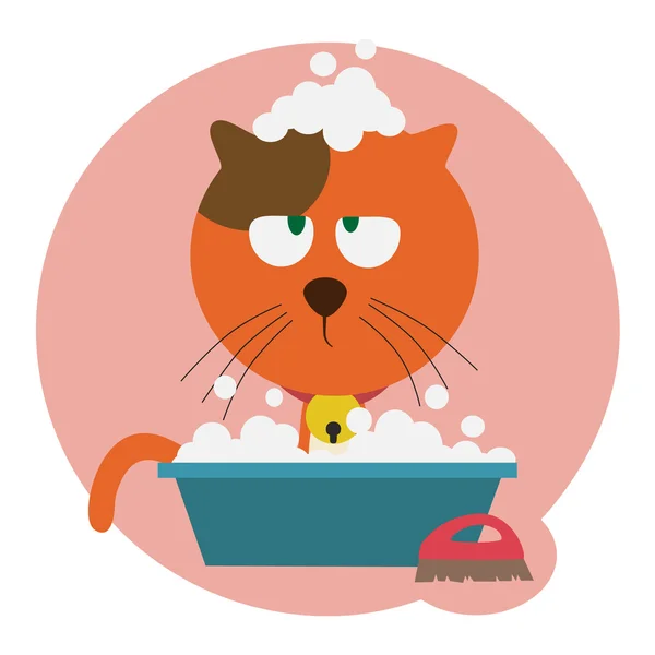 Lavado gato rojo — Archivo Imágenes Vectoriales