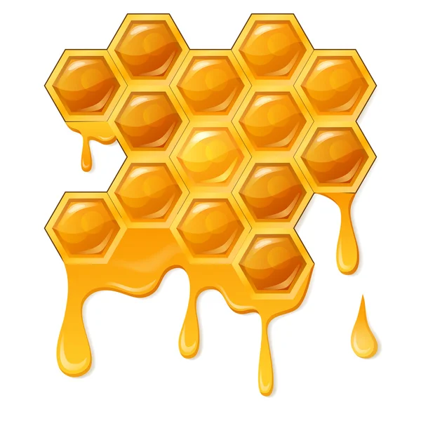 Panal con panal de abeja — Vector de stock
