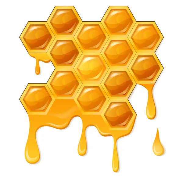 Honungskaka med honeycomb — Stock vektor