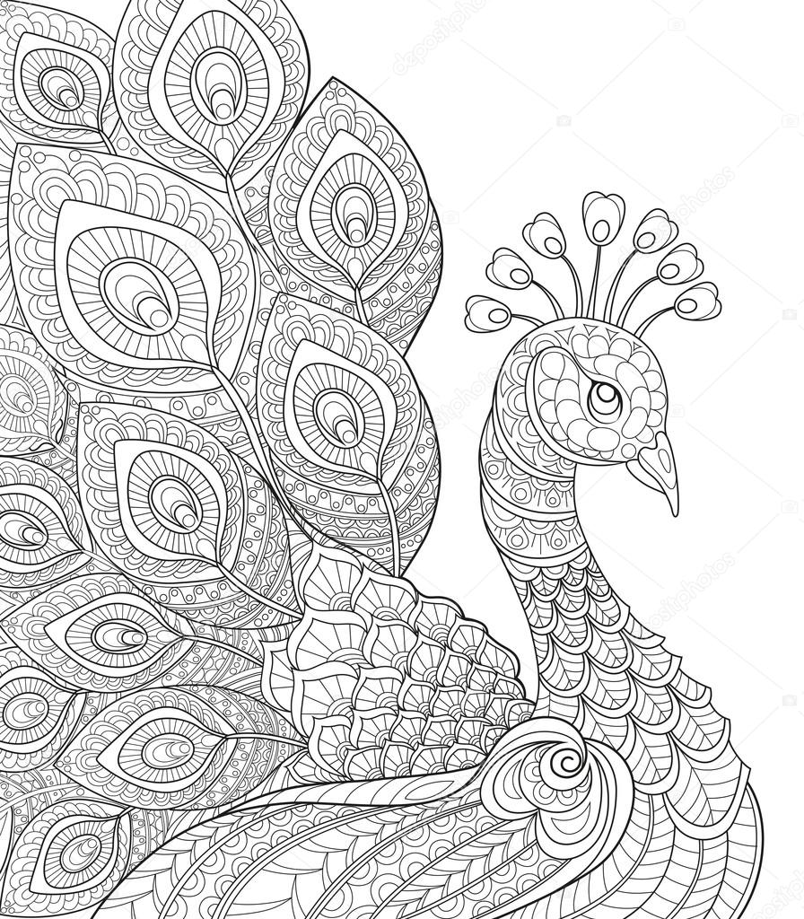 Peacock. Adult antistress coloring page