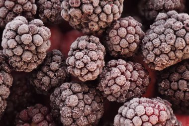 Donmuş meyve meyvesi. Yakın plan ve mor böğürtlenli buz kristalli makro. Kırmızı çilekler ve ahududular arkada..