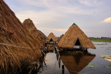 Alacakaranlıkta Siem Reap, Kamboçya 'daki nilüfer tarlası manzarası
