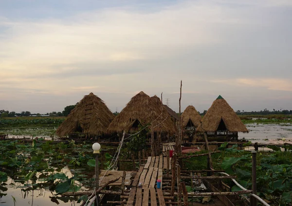 Alacakaranlıkta Siem Reap, Kamboçya 'daki nilüfer tarlası manzarası