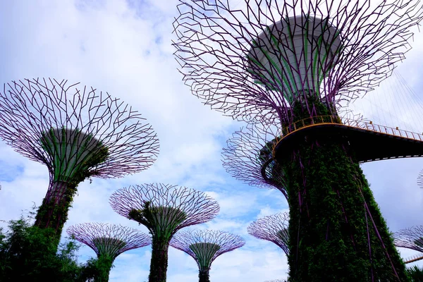 日中にシンガポールの湾によって庭でスーパーツリーの森 — ストック写真