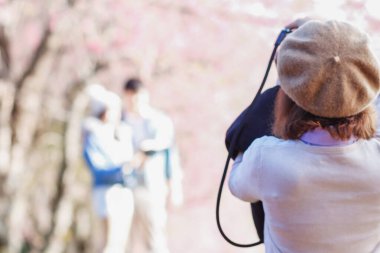 Görüntü bulanık. Kışın gezen ve güzel pembe kiraz çiçeği Sakura 'nın fotoğraflarını çeken genç bir kadın. Genç bir fotoğrafçı yılda sadece bir kez açan pembe kiraz çiçeklerini yakalar..