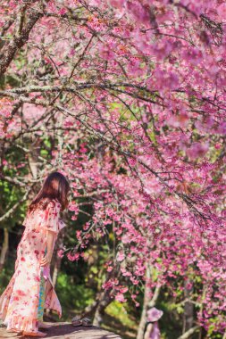 Yumuşak Odaklanma, doğada tek başına huzurlu bir atmosferde duran ve güzel bir pembe kiraz çiçeği arka planına sahip bir kadın. Yalnız kalmak zorunda olan genç bir kadının yalnızlık hissi.