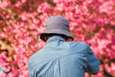 Yaşlı adam güzel kiraz çiçekleri bahçesinde tek başına sabahın tadını çıkarıyordu. Bir cep telefonu kamerası kullanan yaşlı adamın arkası kiraz çiçeklerinin güzel bir resmini çeker..