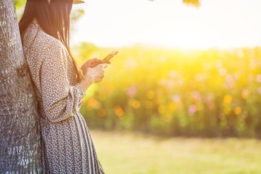 Klasik tarzda genç bir gezgin sabah renkli bir kozmos çiçek tarlasının yanındaki ağacın altında akıllı telefon kullanarak ayakta duruyor. Genç turistler kozmos çiçeğinin güzel manzarasının tadını çıkarıyorlar.