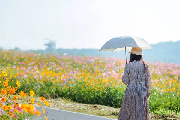 Een Jonge Vrouwelijke Toerist Houdt Een Parasol Uitgestrekte Kleurrijke Kosmos — Stockfoto