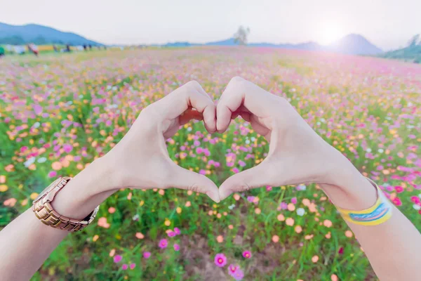 The girl raised her hand to display a meaningful heart-shaped symbol. Tell her that I love you on the blurred background of the flower garden. Showing symbols to tell love Lover on valentine\'s day