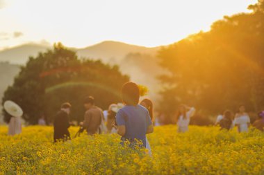Alacakaranlık sırasında siluet ve turuncu ışıklar. Genç turistler, kokulu sarı kasımpatı tarlasında eğleniyor ve Alacakaranlık sırasında turuncu atmosferli kasımpatının güzelliğine hayran kalıyorlar..