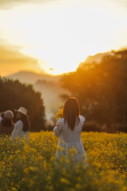 Alacakaranlık sırasında siluet ve turuncu ışıklar. Genç turistler, kokulu sarı kasımpatı tarlasında eğleniyor ve Alacakaranlık sırasında turuncu atmosferli kasımpatının güzelliğine hayran kalıyorlar..