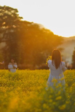 Alacakaranlık sırasında siluet ve turuncu ışıklar. Genç turistler, kokulu sarı kasımpatı tarlasında eğleniyor ve Alacakaranlık sırasında turuncu atmosferli kasımpatının güzelliğine hayran kalıyorlar..