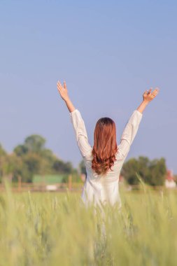 Genç bir kadın, sabah yeşil pirinç tarlasının bulanık arka planında Tanrı 'nın inancı ve gücüyle dua etmek için ellerini başının üstüne kaldırır..