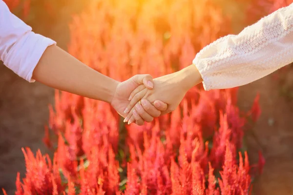 Jovem Casal Asiático Ficar Jardim Flores Vermelho Brilhante Amantes Dão — Fotografia de Stock