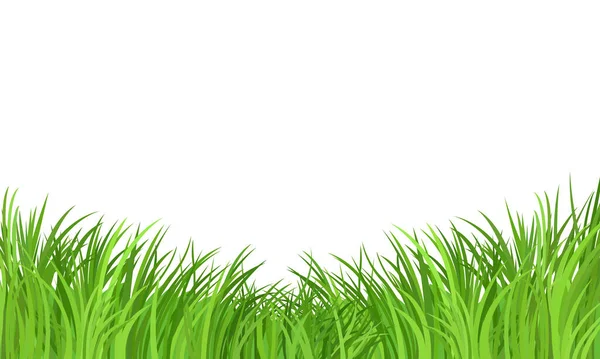 Herbe Verte Prairie Bordure Vectorielle Motif Sur Fond Blanc Champ — Image vectorielle