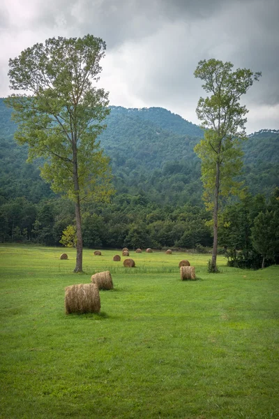 Parque de Beigua - campo —  Fotos de Stock