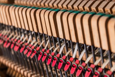 Eski piyano - Ayrıntılar