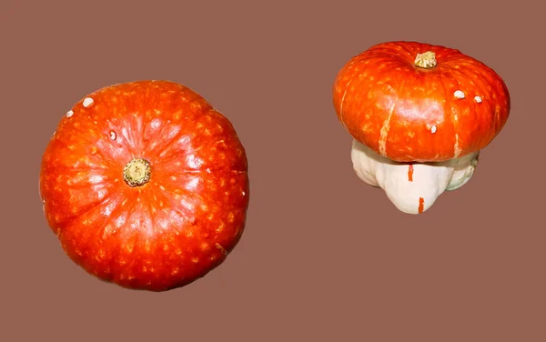 Calabaza Madura Forma Inusual Aislada Sobre Fondo Marrón Cerca — Foto de Stock