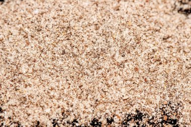 Siyah arka planda kara biberin makro fotoğrafçılığı. Seçici odak.