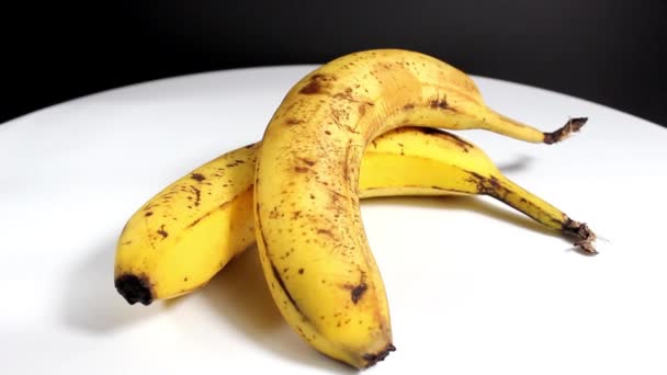 Två Mogna Bananer Nära Håll Vändbar Selektiv Inriktning — Stockvideo