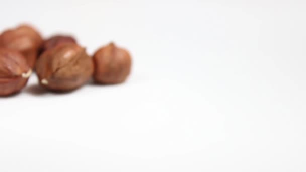 Several Hazelnuts Shells Close White Background Selective Shot — Stock Video